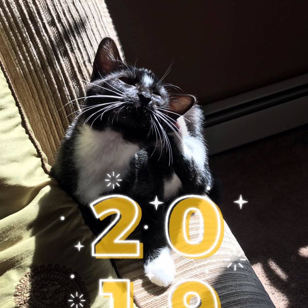 Meet your Posher, Sambath